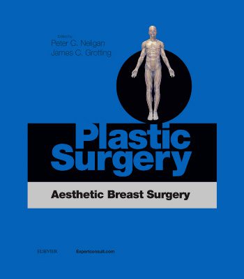 Plastic Surgery Volume